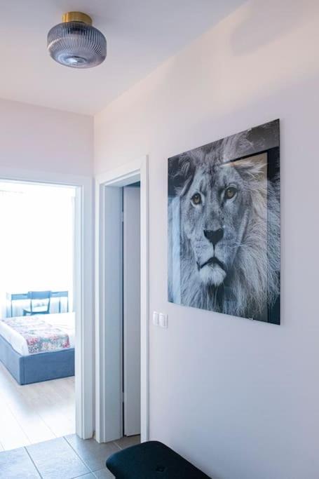 Tokiyo: A Lovely City Center 2 Bedrooms Apartment With Private Parking Szófia Kültér fotó